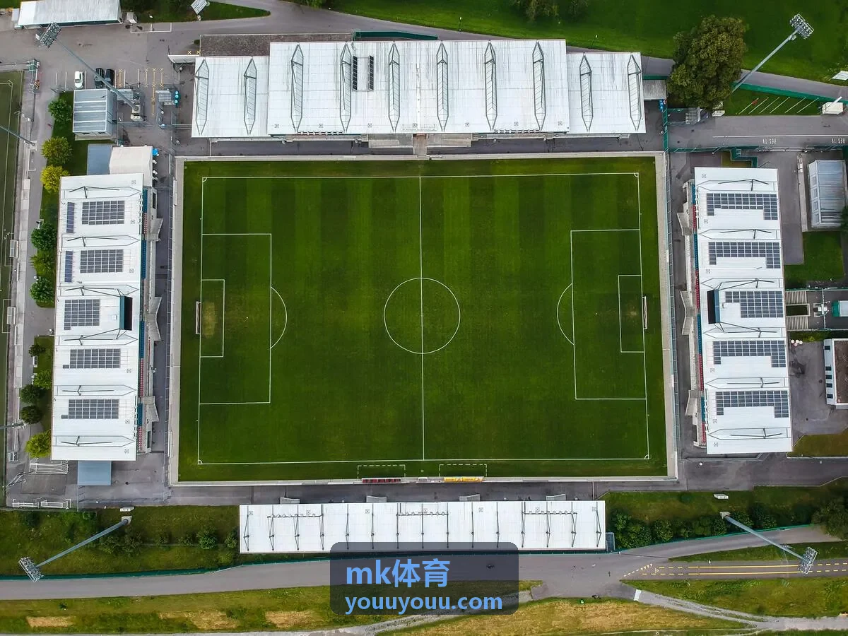 MK体育体能训练